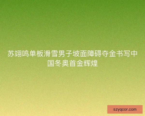 苏翊鸣单板滑雪男子坡面障碍夺金书写中国冬奥首金辉煌