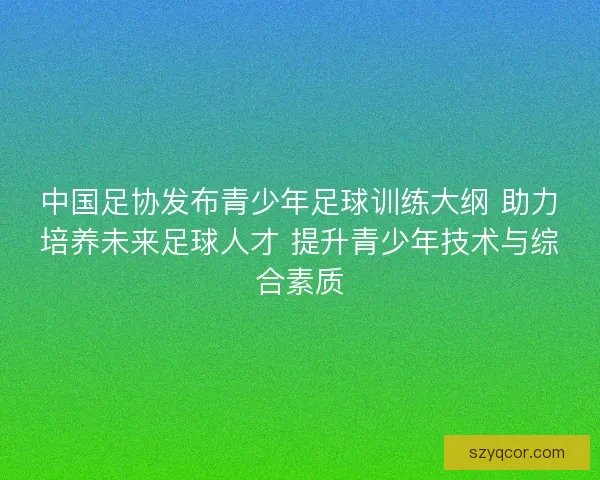 中国足协发布青少年足球训练大纲 助力培养未来足球人才 提升青少年技术与综合素质