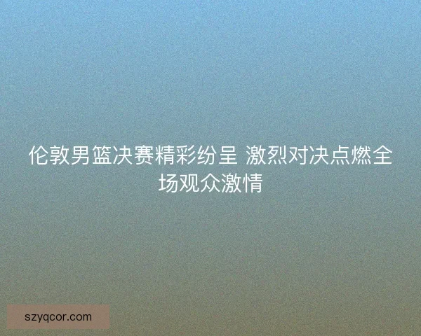 伦敦男篮决赛精彩纷呈 激烈对决点燃全场观众激情