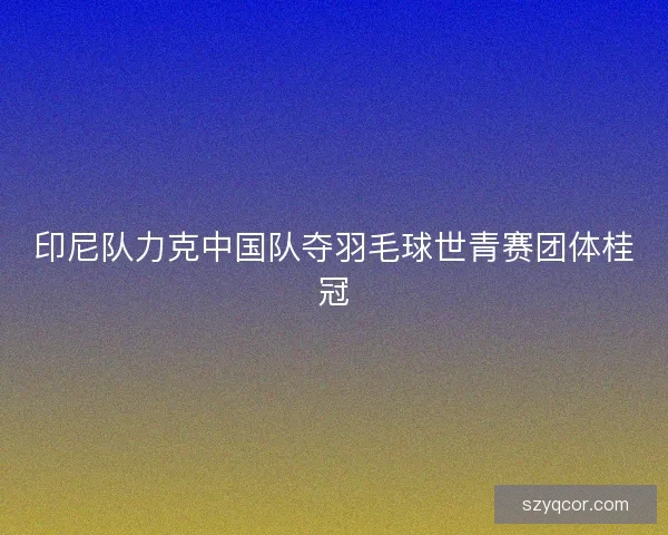 印尼队力克中国队夺羽毛球世青赛团体桂冠