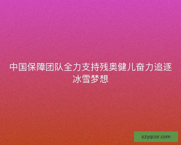中国保障团队全力支持残奥健儿奋力追逐冰雪梦想