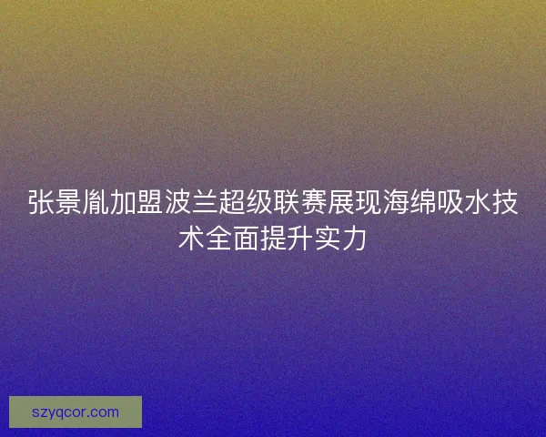 张景胤加盟波兰超级联赛展现海绵吸水技术全面提升实力 张景胤加盟波兰超级联赛展现海绵吸水技术全面提升实力